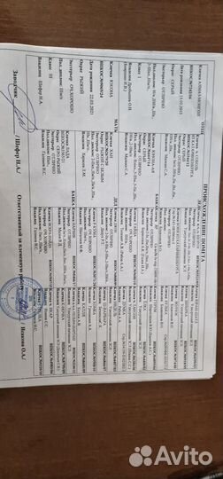 Щенки западно сибирской лайки