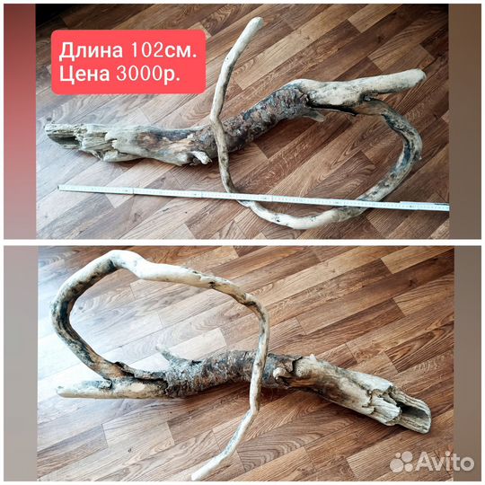 Морские коряги