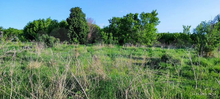 Участок 17 сот. (ИЖС)