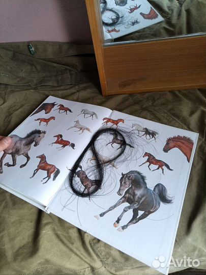 Книга лошади