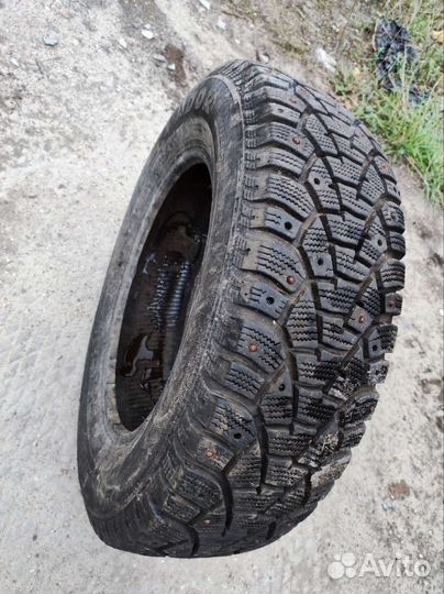 Matador MP 51 Sibir 2 195/65 R15