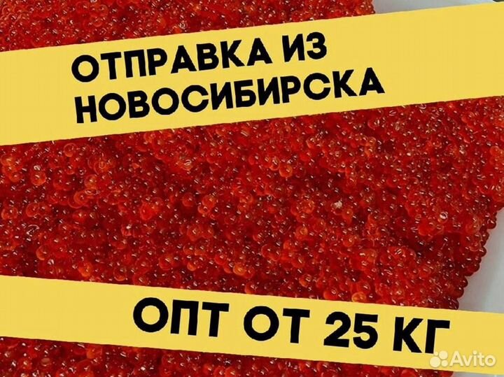 Красная икра кеты