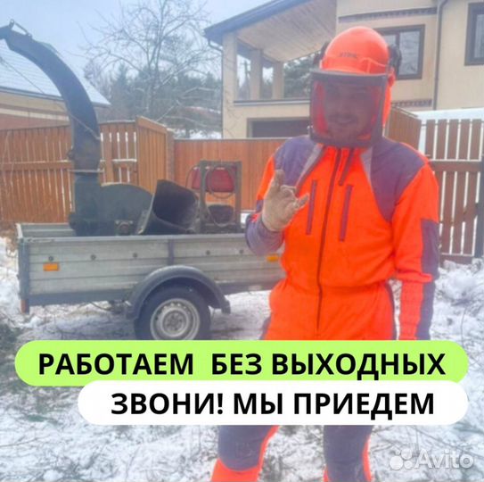 Вырубка деревьев Расчистка участков Дробление пней