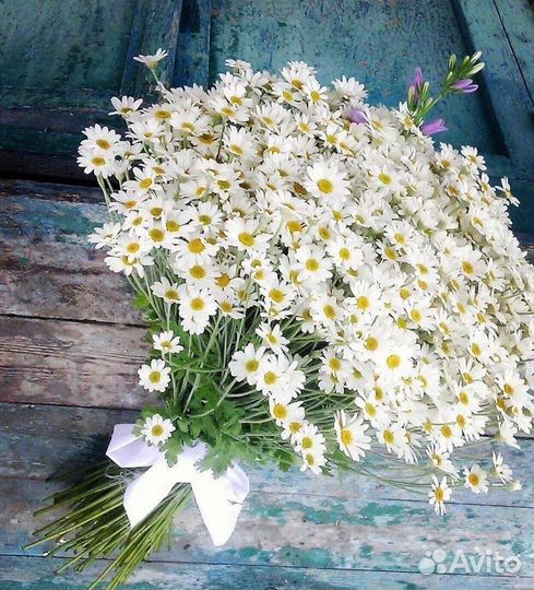 Букеты из ромашек