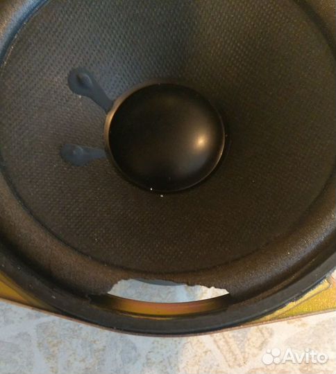 Динамики CW-125B20L