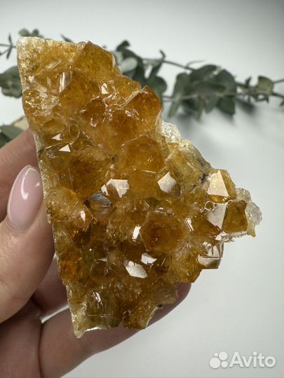 Друза цитрина