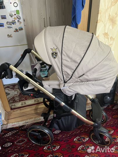 Коляска адамекс 2 в 1 cortina
