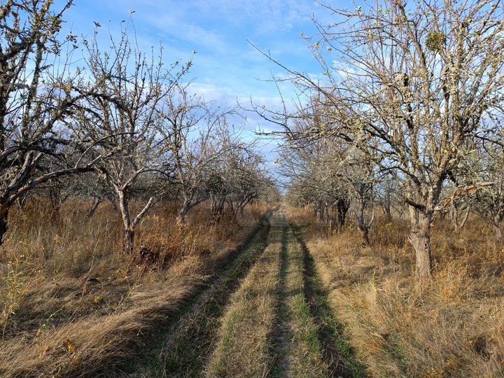 Участок 22,2 га (СНТ, ДНП)