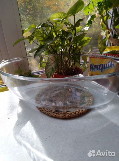 Миска стекло