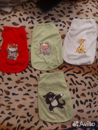 Одежда для собак