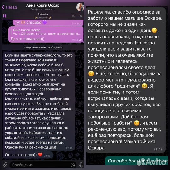 Услуги кинолога. Дрессировка, передержка