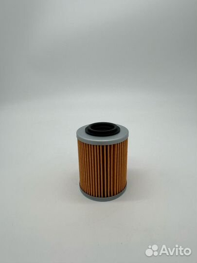 420256188aа BRP Фильтр масляный (711256188)