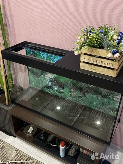 Аквариум 180 литров