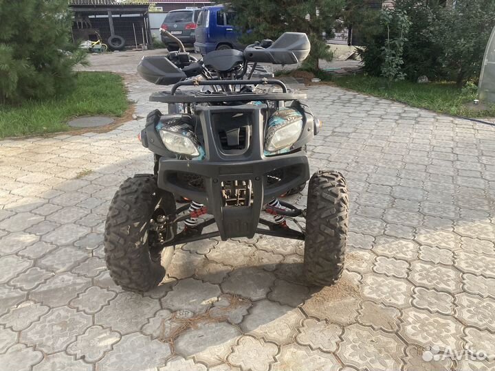Квадроцикл Grizzly 250