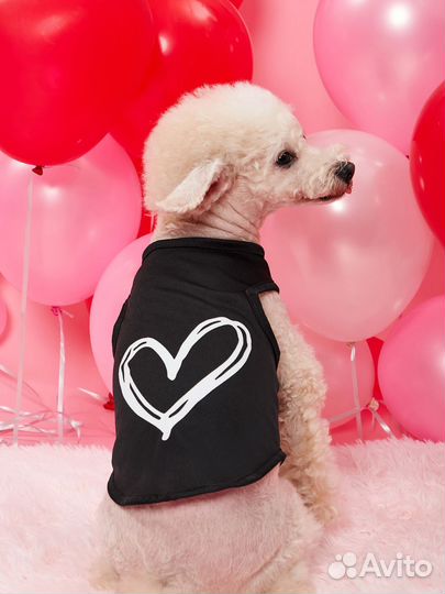 Одежда для маленьких собак Shein