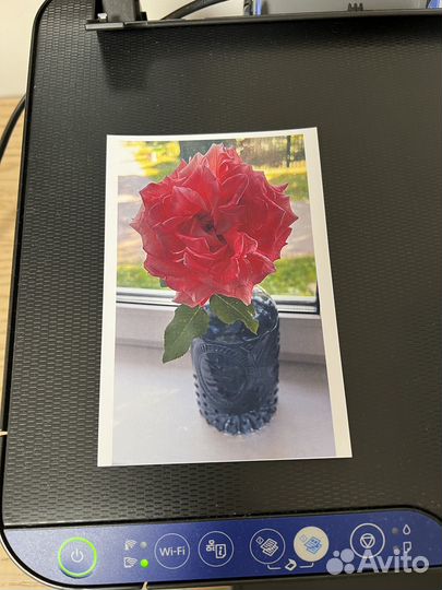 Принтер Ерson L3151 мфу струйный, цветной