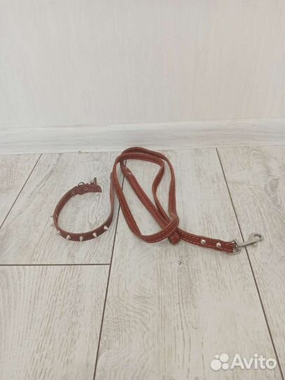 Ошейник и поводок