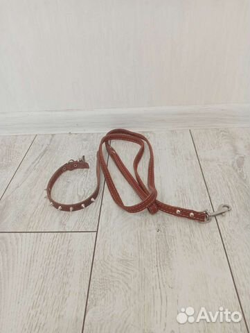 Ошейник и поводок