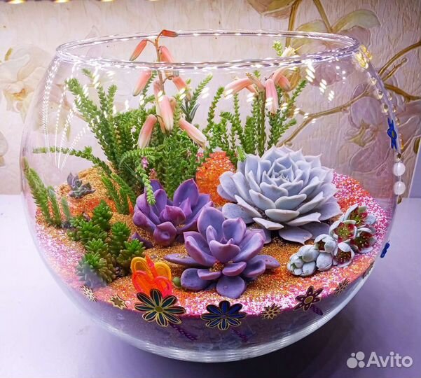 Флорариум премиум класса