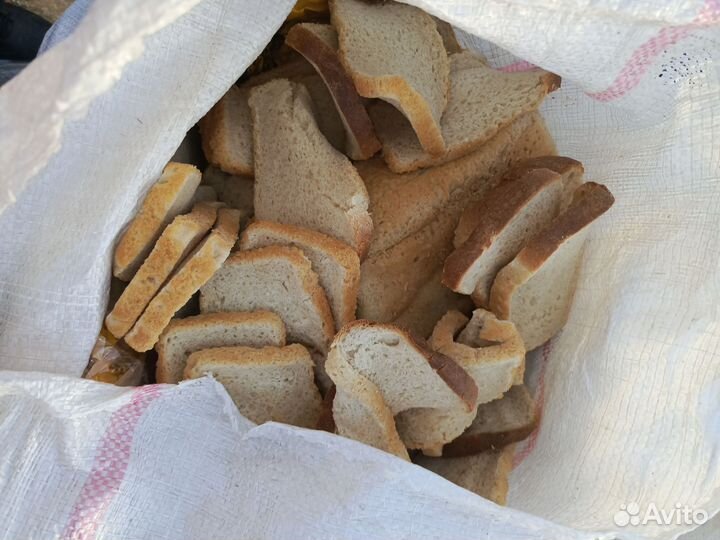 Хлеб на корм животным