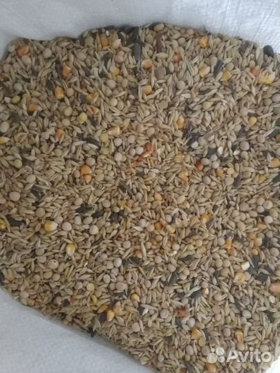 Зерно смесь