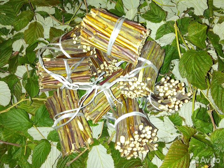 Малиновый чай