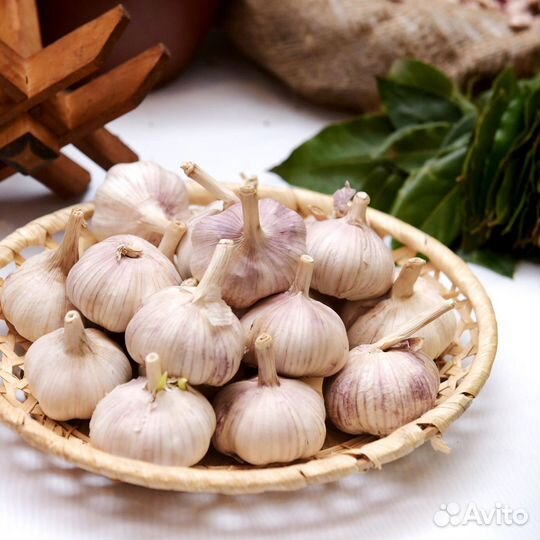 Чеснок 20 кг