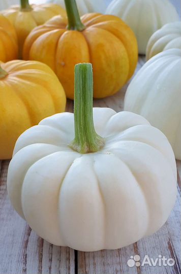 Тыквы декоративные