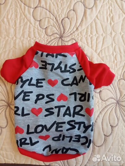 Одежда для маленьких собак м