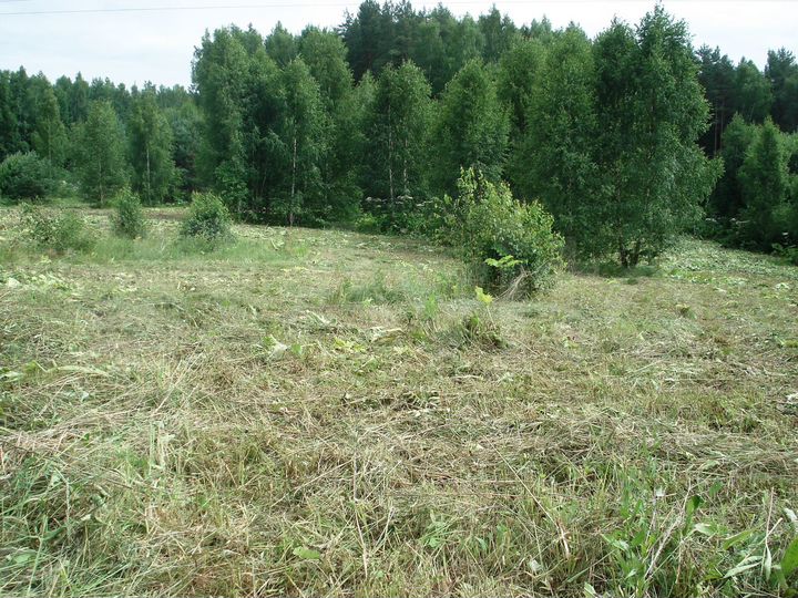 Участок 2,6 га (СНТ, ДНП)