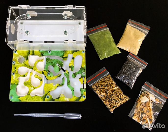 Муравьиная ферма (Формикарий) Стандарт