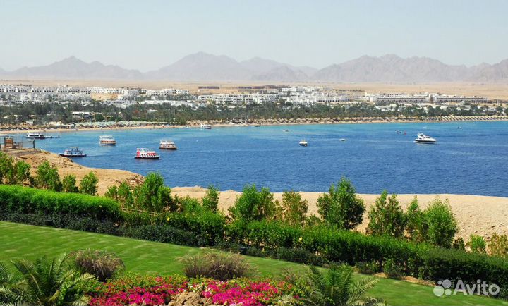 Турпутевка в г. Шарм-Эль-Шейх от 6 дн