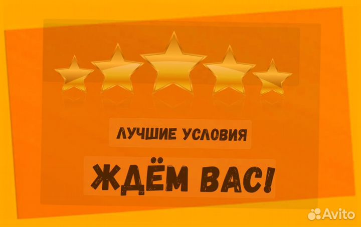 Наборщик заказов Без опыта Еженедельные выплаты