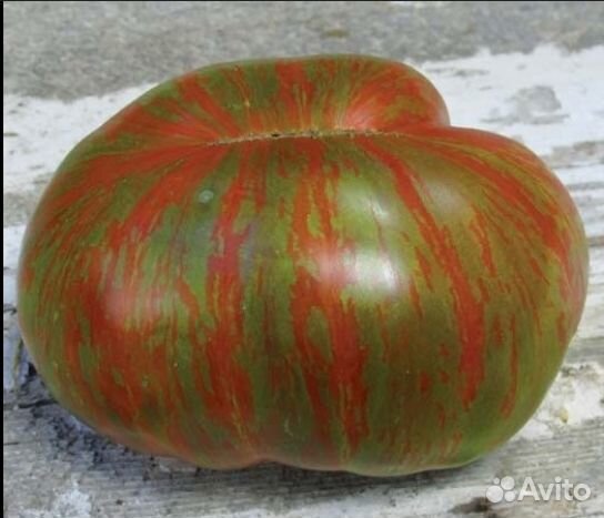 Семена томата Большой Полосатый Кабан