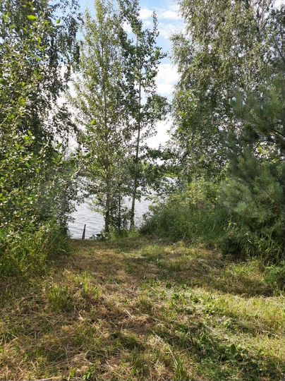 Участок 12 сот. (ИЖС)