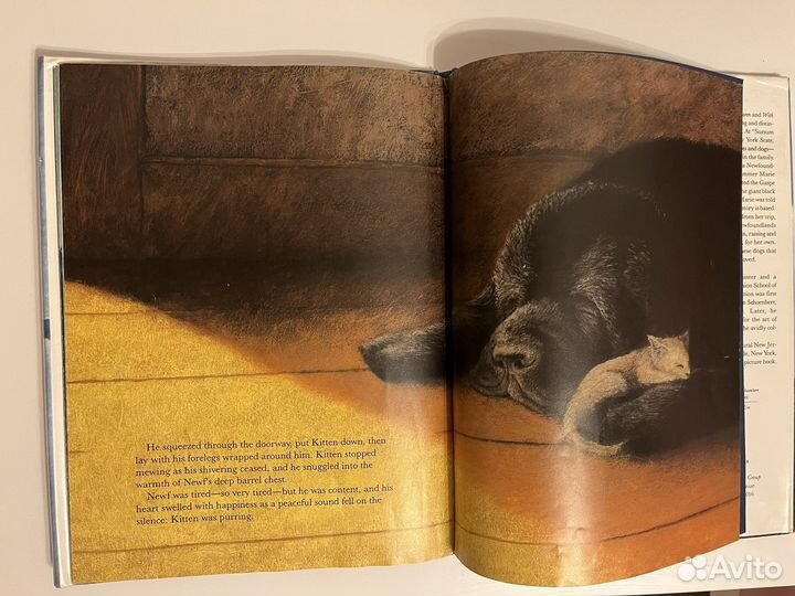 Книга Newf, Marie Killilea