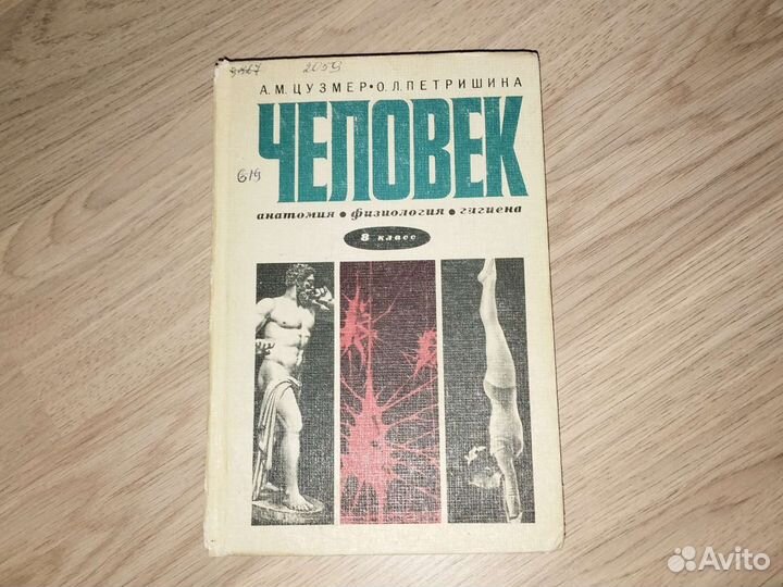 Книга, учебник, А. М. Цузмер, О. Л. Петришина