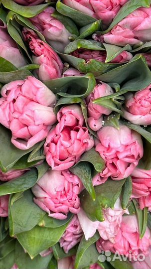 Букет тюльпанов