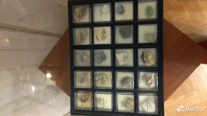 Коллекции минералов и насекомых