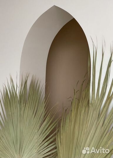 Фотостудия с ванной Stone by focus