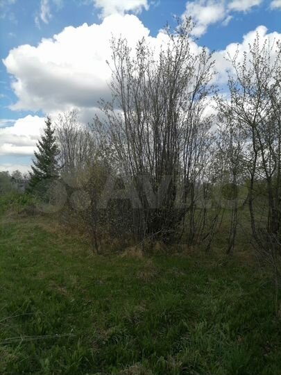 Участок 17 сот. (СНТ, ДНП)