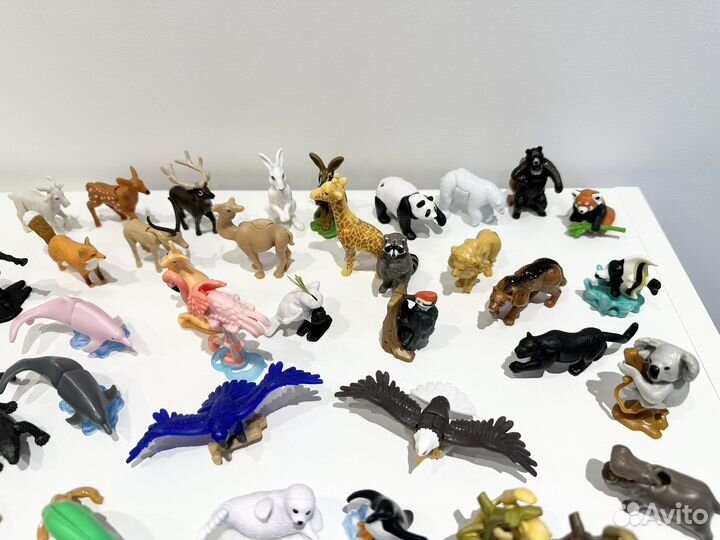 Киндер natoons и natoons maxi продажа/обмен