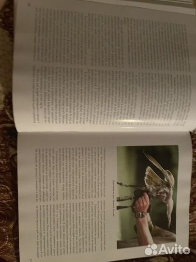 Соколиная охота