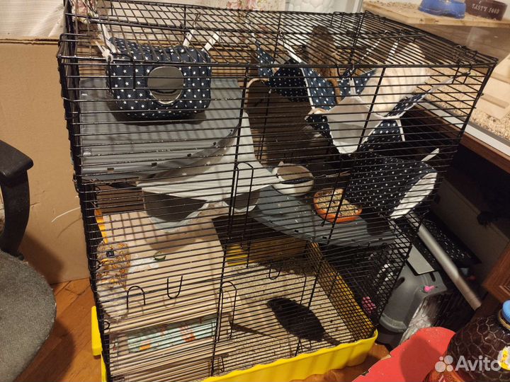 Клетка разборная для грызунов
