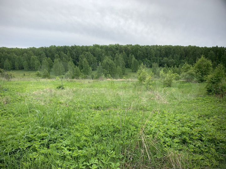 Участок 15 сот. (ИЖС)