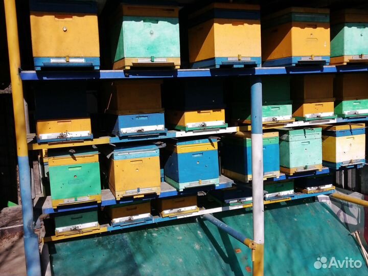 Пасека в комплекте