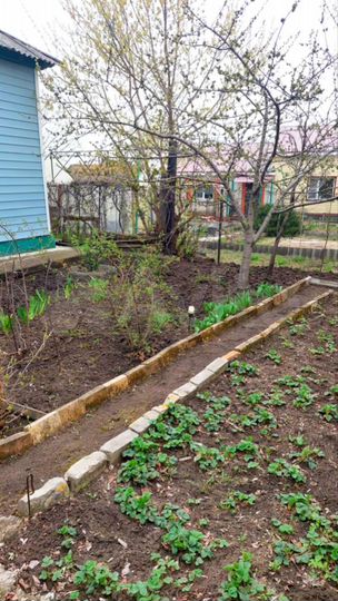 Дом 65 м² на участке 4 сот.