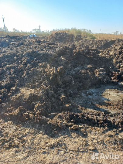 Заказать с доставкой Перегной коровий