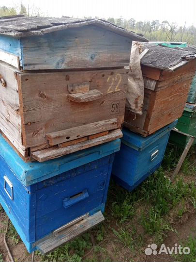 Б/у улья и рамки для пчел
