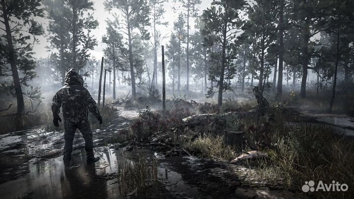 Chernobylite PS4/PS5